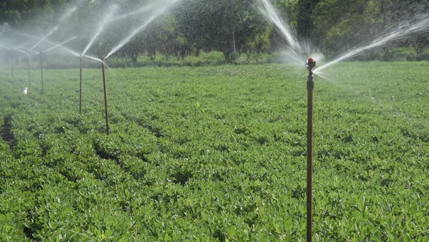 sprinkler_10.jpeg