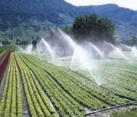 sprinkler_4.jpeg