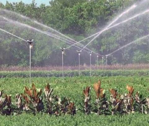 sprinkler_5.jpeg